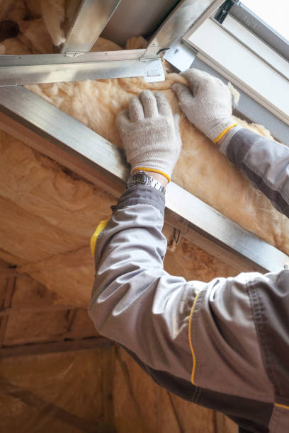 Best Insulation Contractors for Homes  in Panama, OK